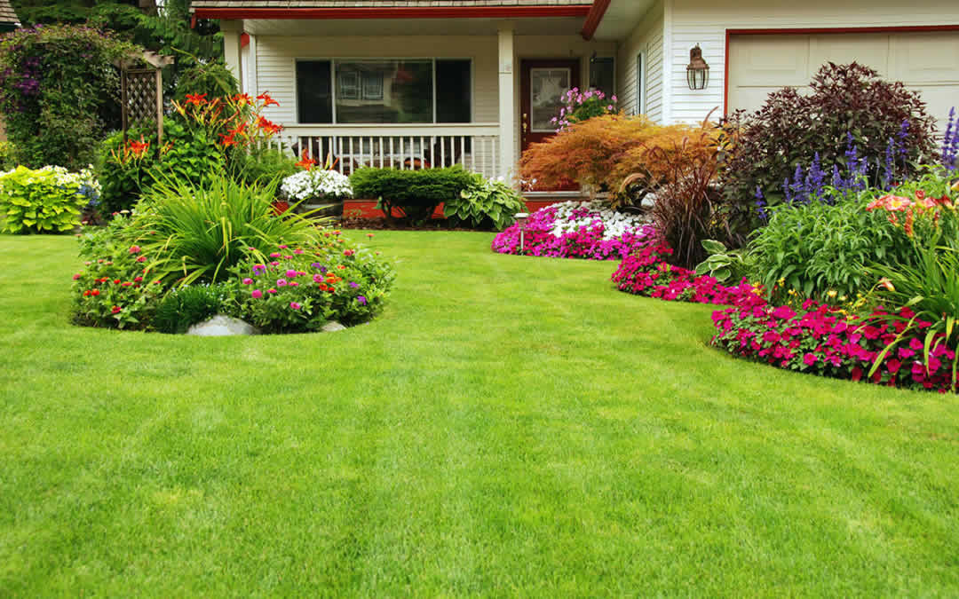 Weed Control - HOME