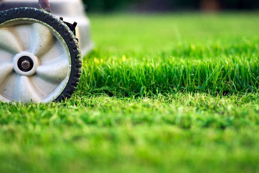 lawn mowing tips Southeast Michigan 1 - HOME
